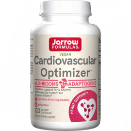 Cardiovascular Optimizer...